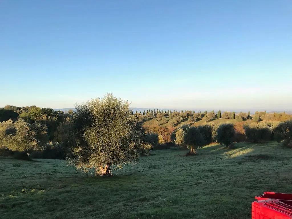 Rododendro Casa Sulle Colline Toscane Vicino San Giminiano مونتايون بيت للعطل